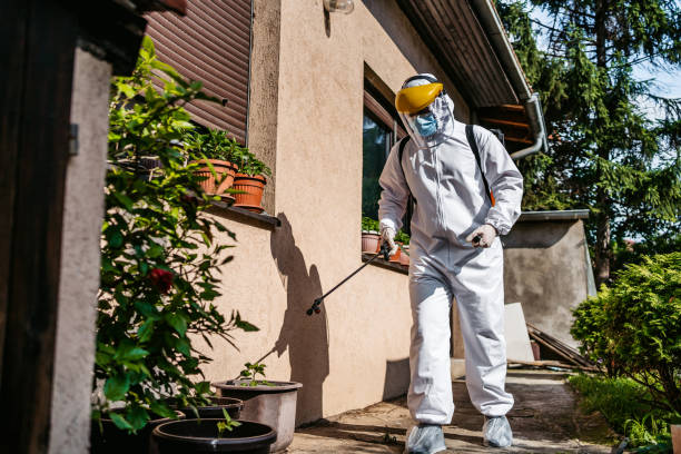 Best Pest Control Treatment  in Norton Center, MA